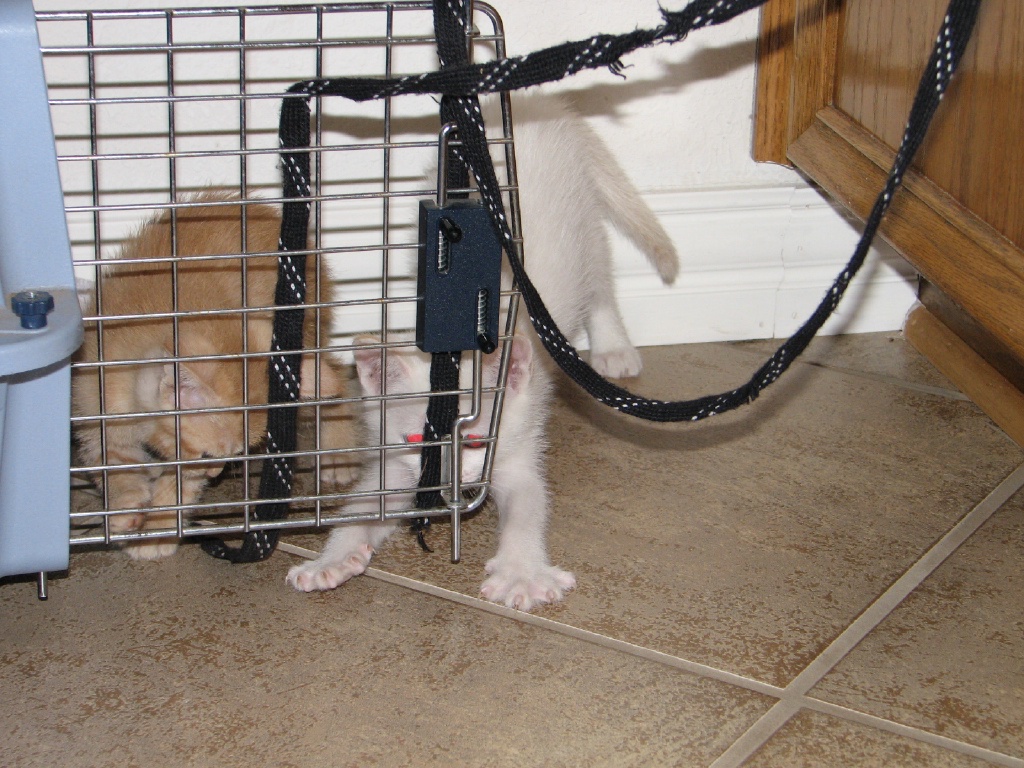20100206 434.JPG